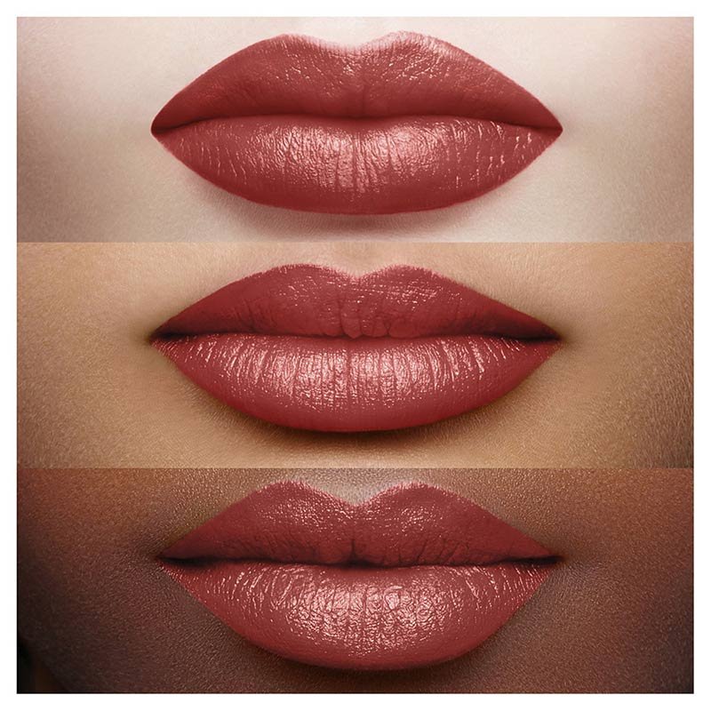 Colour Riche 108 Brune Cuivre On Lips 2